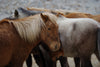 HD PENTAX-D FA* 70-200mm F2.8ED DC AW sample image